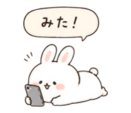 842645635