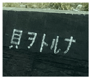 842645680