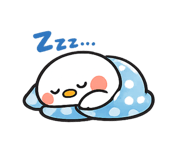 842646262