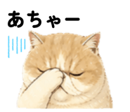 842646322
