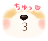 842646362