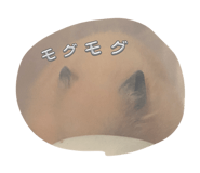 842646503