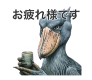 842646706