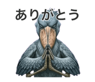 842646707