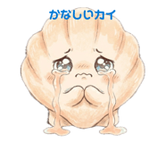 842646907