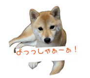 842647091