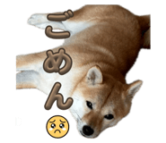 842647092