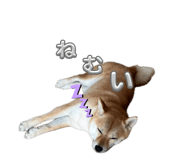 842647095