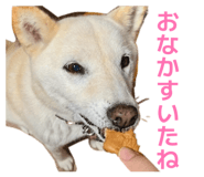 842647354