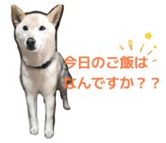 842647356