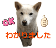 842647361