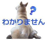 842647362