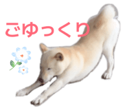 842647364