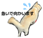 842647367