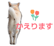 842647368