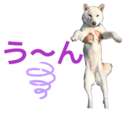 842647369