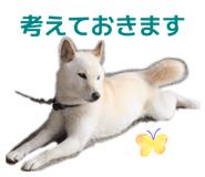 842647370