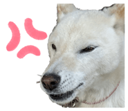 842647373
