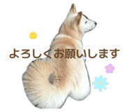 842647377