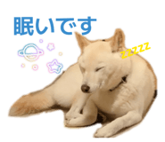 842647380