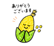 842647406