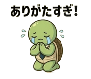 842647501