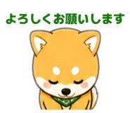 842647862