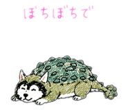 842648086