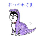 842648087