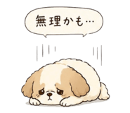 842648186