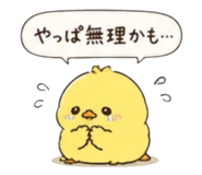 842648326