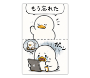 842648463
