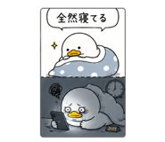 842648466