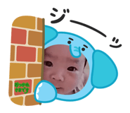 842648528