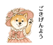 842648530