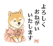 842648532