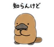 842648835
