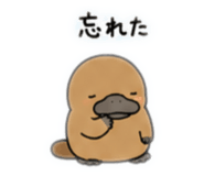 842648851