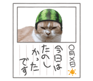 842648898