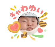 842649010