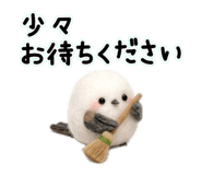 842649034