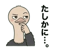 842649062