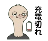 842649082