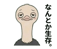 842649096