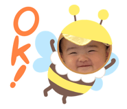 842649247