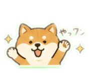 842649390