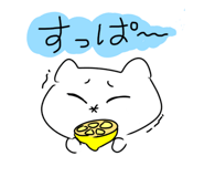 842649416