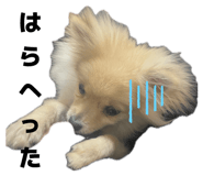 842649452