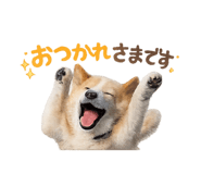 842650121