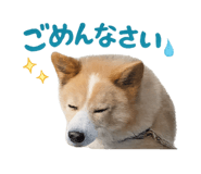 842650122